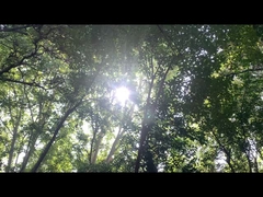 Ηλεκτρική τροφοδοσία Bluetooth για ηχεία 192WH μπαταρία λιθίου σιδήρου φωσφορικού